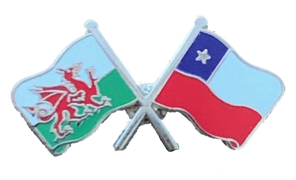 Wales & Chile Flags Friendship Courtesy enamel  Lapel Pin Badge T851 image 0