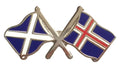 Scotland & Iceland Flags Friendship Courtesy Enamel Lapel Pin Badge T933 image 0
