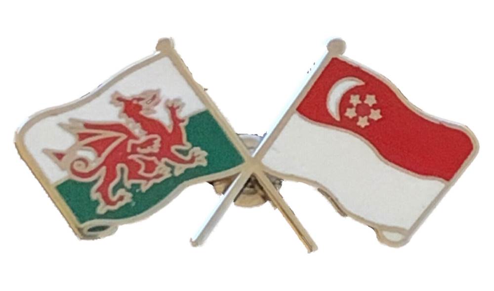 Wales & Singapore Flags Friendship Courtesy Enamel Lapel Pin Badge T787 image 2
