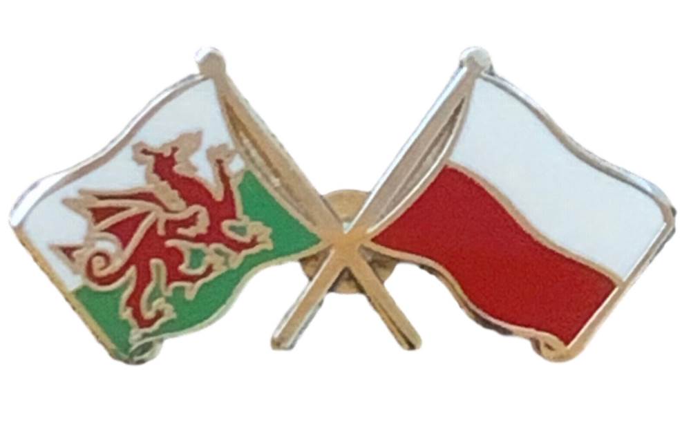 Wales & Poland Flags Friendship Courtesy Enamel Lapel Pin Badge  T793 image 1
