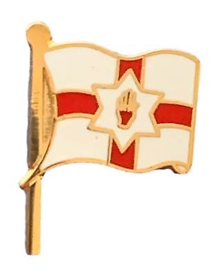 Irish Red Hand of Ulster Flag on Flag Pole Small Enamel Lapel Pin Badge image 0