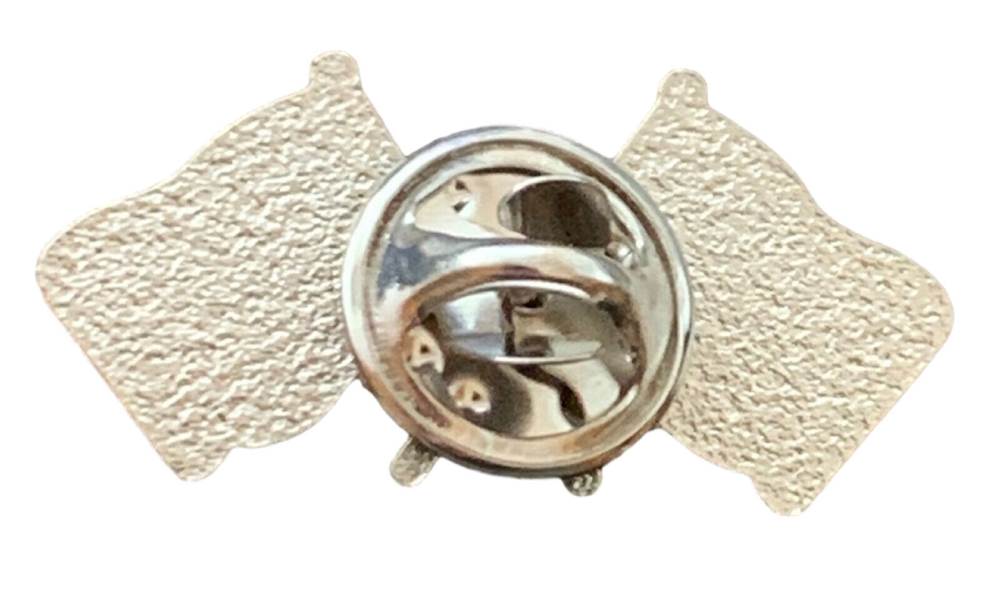 Wales & Israel Flags Friendship Courtesy Enamel Lapel Pin Badge T458 image 1