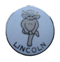 Lincoln (D2) Quality Enamel Lapel Pin Badge image 0