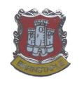 Barnstaple UK Quality Enamel Lapel Pin Badge image 0