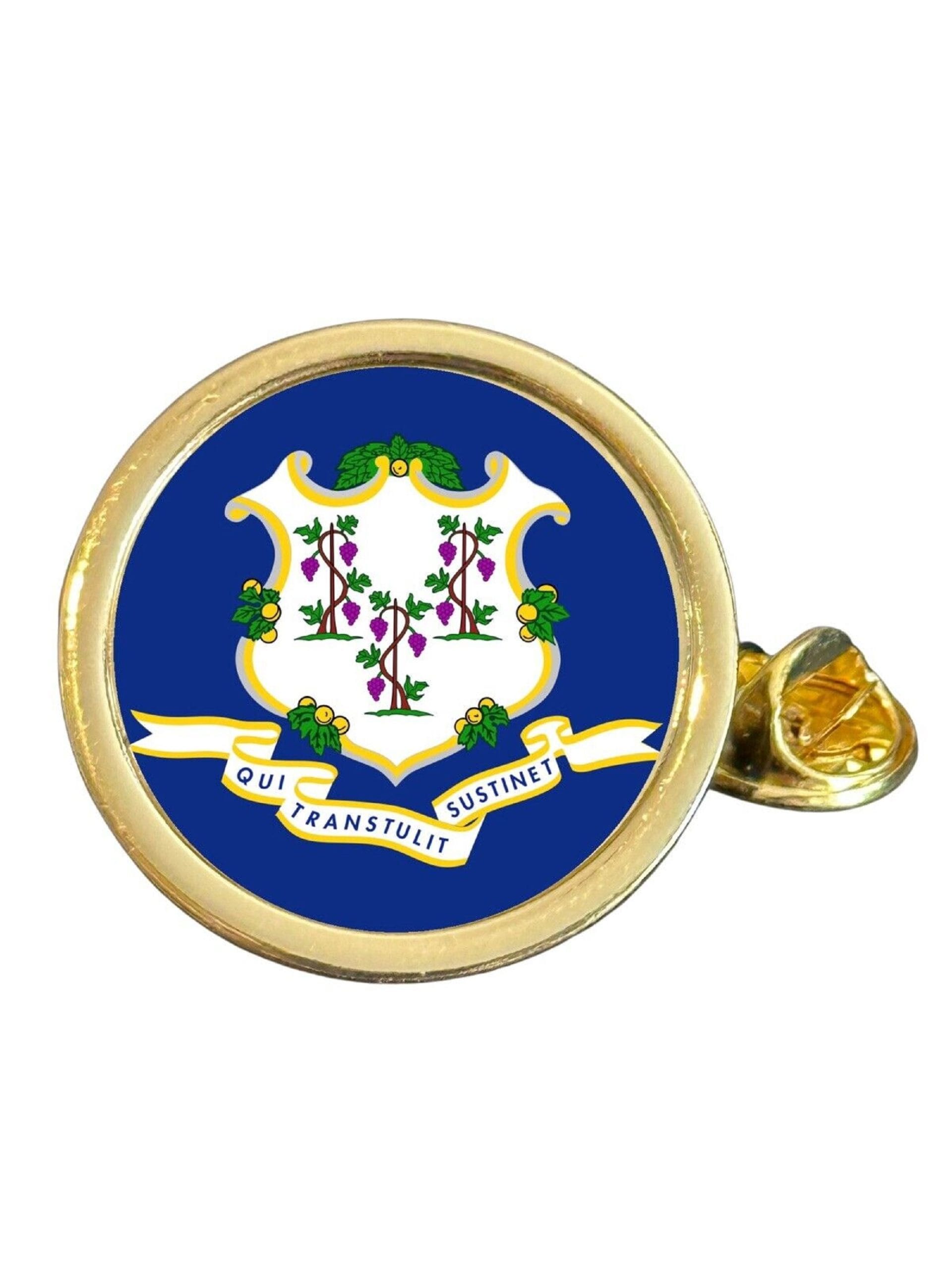 State Of Connecticut Part Flag USA Gold Plated Domed Lapel Pin Badge in Bag image 0