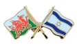 Wales & Israel Flags Friendship Courtesy Enamel Lapel Pin Badge T458 image 0