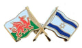 Wales & Israel Flags Friendship Courtesy Enamel Lapel Pin Badge T458 image 0
