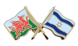 Wales & Israel Flags Friendship Courtesy Enamel Lapel Pin Badge T458 image 0