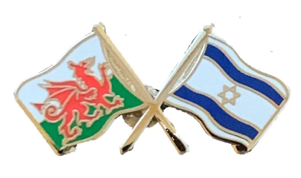 Wales & Israel Flags Friendship Courtesy Enamel Lapel Pin Badge T458 image 0