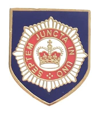 The Queen's Royal Household Division British Army - MOD Approved Lapel Pin Badge image 0
