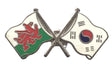 Wales & South Korea Flags Friendship Courtesy Enamel Lapel Pin Badge T305 image 0