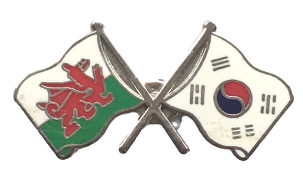 Wales & South Korea Flags Friendship Courtesy Enamel Lapel Pin Badge T305 image 0
