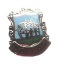 Dollar Quality Enamel Lapel Pin Badge image 0