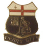 Derry City Ireland Quality Enamel Lapel Pin Badge image 0