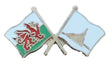 Wales & Rhone Alps Flags Friendship Courtesy enamel  Lapel Pin Badge T859 image 0