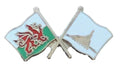 Wales & Rhone Alps Flags Friendship Courtesy enamel  Lapel Pin Badge T859 image 0