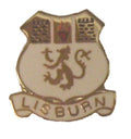 Lisburn Ireland Quality Enamel Lapel Pin Badge image 0