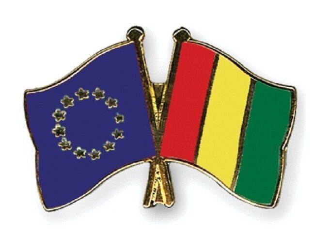EU European Union & Guinea Flags Friendship Courtesy Enamel Lapel Pin Badge image 0