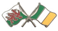 Wales & Ireland Flags Friendship Courtesy Enamel Lapel Pin Badge T280 image 0