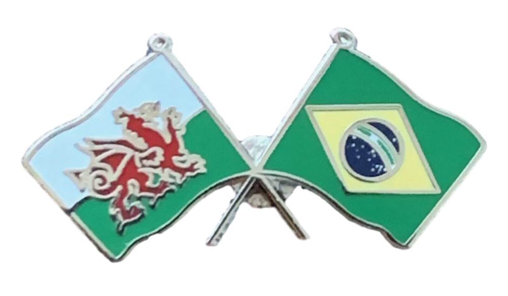Wales & Brazil Flags Friendship Courtesy Enamel Lapel Pin Badge T638 image 1