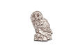 Detailed pewter Tawny Owl pin badge perched on a tree stump with butterfly clutch fastening on a white background.