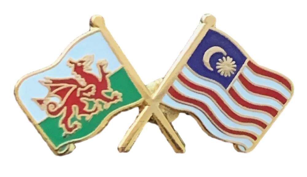 Wales & Malaysia Flags Friendship Courtesy enamel  Lapel Pin Badge T795 image 2