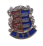Rye East Sussex England Quality Enamel Lapel Pin Badge image 0