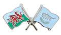 Wales & Cyprus Flags Friendship Courtesy  enamel  Lapel Pin Badge T1016 image 0