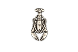 Detailed pewter Lobster pin badge featuring claws, segmented body and tail with butterfly clutch fastening on a white background.