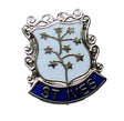 St Ives Quality Enamel Lapel Pin Badge image 0