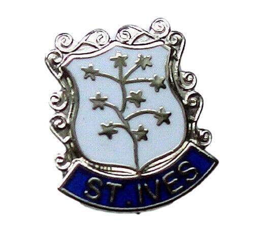 St Ives Quality Enamel Lapel Pin Badge image 0