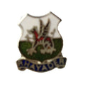 Rhayader Powys Wales Quality Enamel Lapel Pin Badge image 0