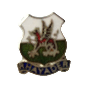 Rhayader Powys Wales Quality Enamel Lapel Pin Badge image 0