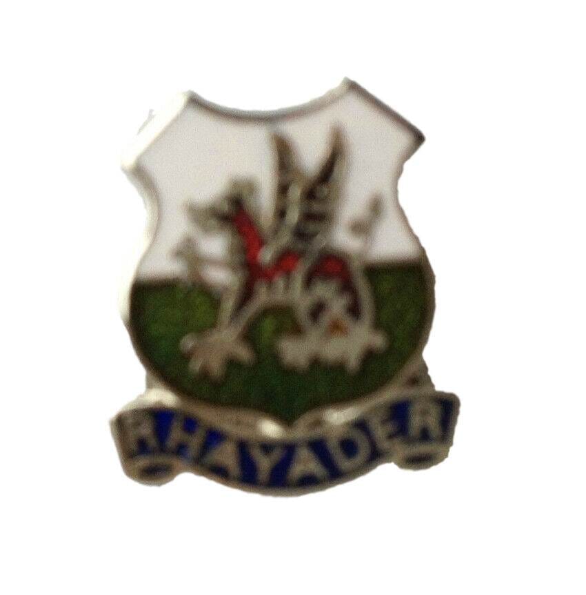 Rhayader Powys Wales Quality Enamel Lapel Pin Badge image 0