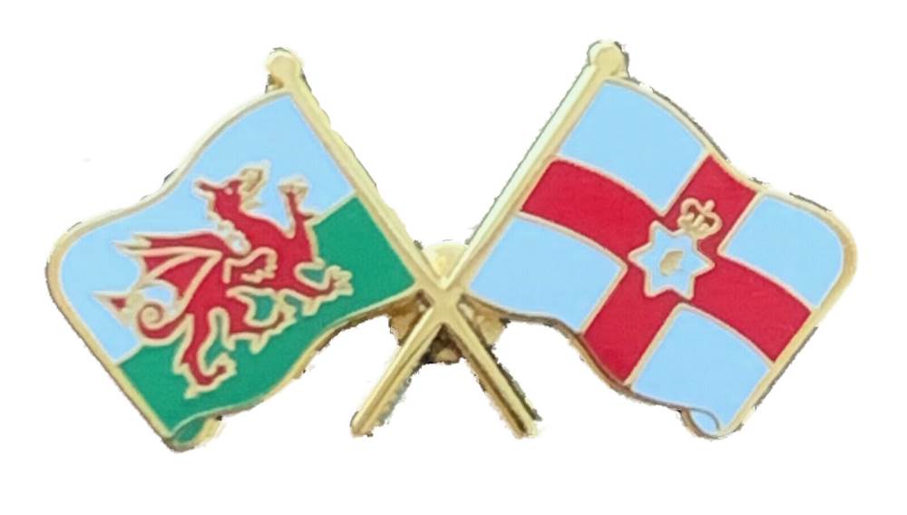 Wales & Ulster Flags Friendship Courtesy enamel Lapel Pin Badge T455 image 2