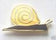 SNAIL IN SHELL MOLLUSCAN GASTROPODA HARD QUALITY ENAMEL LAPEL PIN BADGE image 0