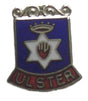 Ulster Town Crest Coat Of Arms Quality Enamel Lapel Pin Badge image 0