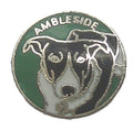 Ambleside Quality Enamel Lapel Pin Badge image 0