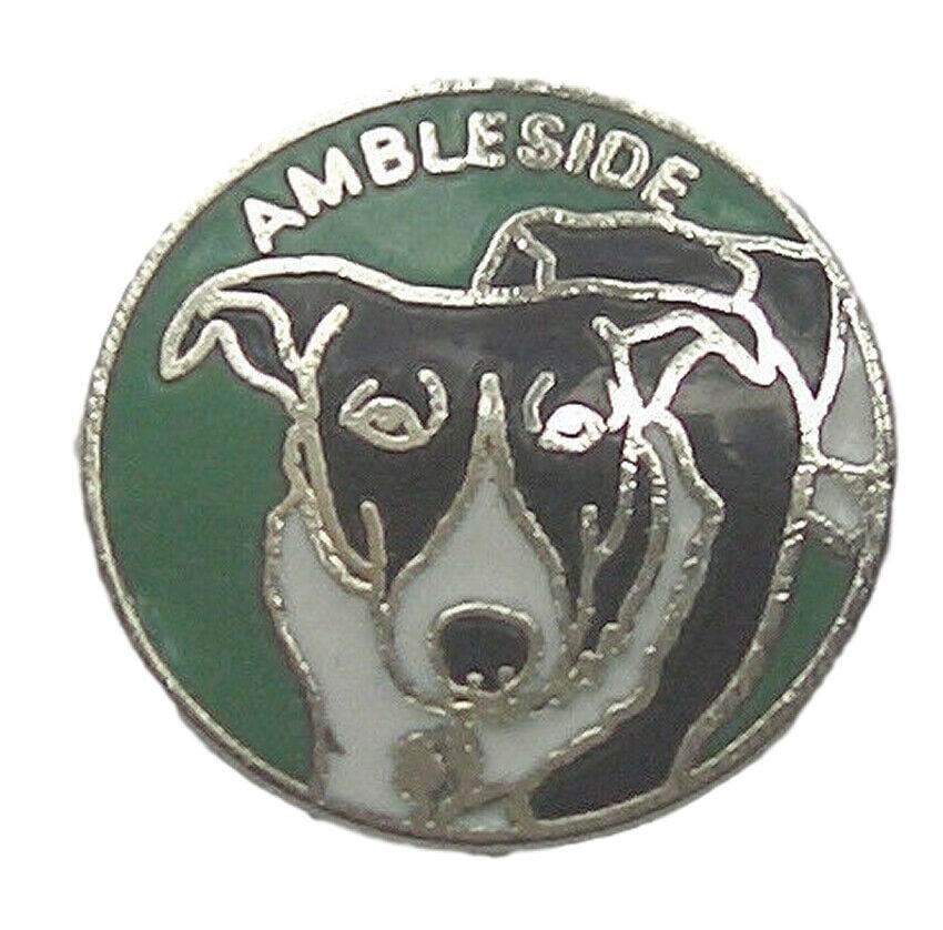 Ambleside Quality Enamel Lapel Pin Badge image 0