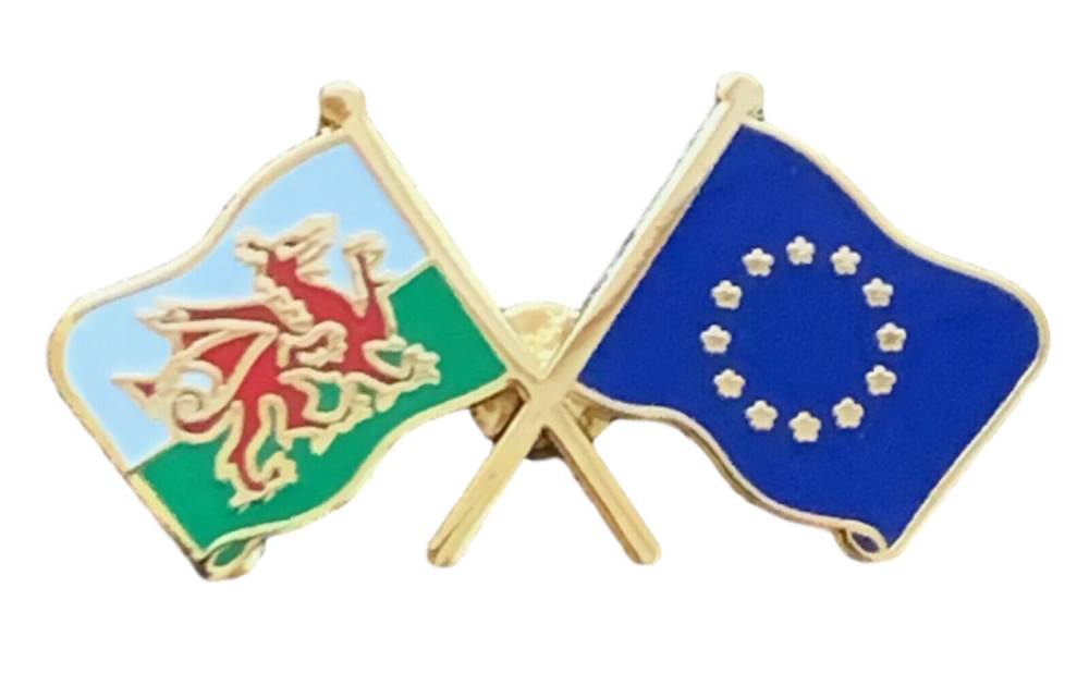 Wales & EU European Union Flags Friendship Courtesy Enamel Lapel Pin Badge T491 image 3