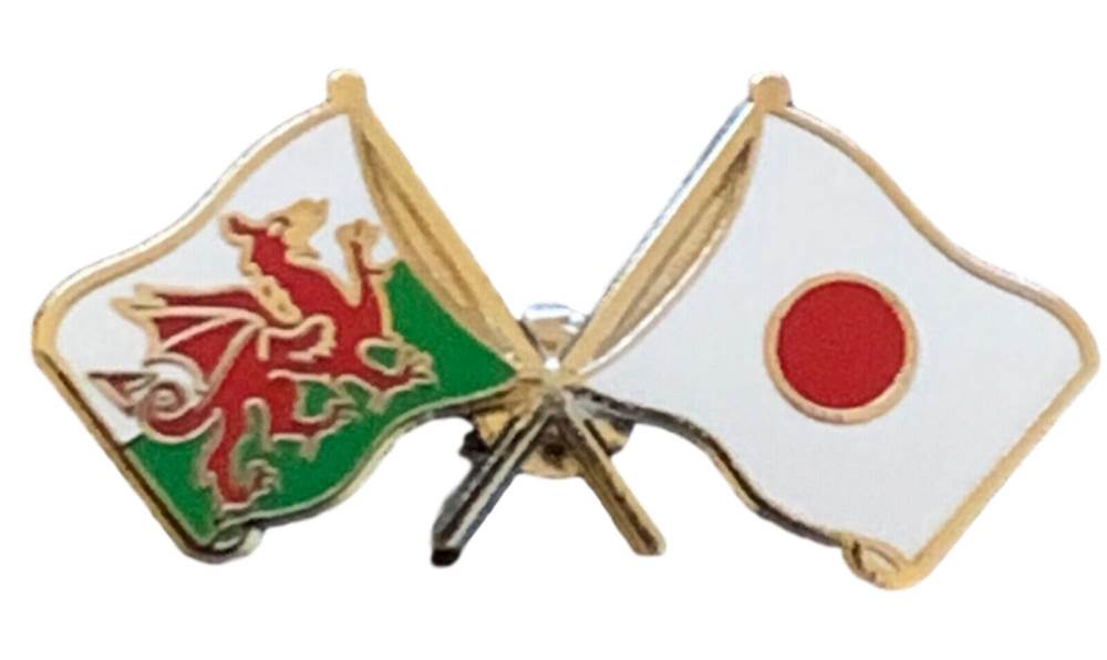 Wales & Japan Flags Friendship Courtesy Enamel Lapel Pin Badge T235 image 0
