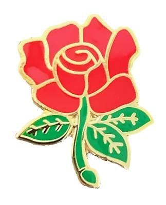 Lancashire County Red Rose English Rose Quality enamel lapel pin badge T750 image 0