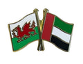 Wales and UAE United Arab Emirates Friendship Diplomatic Enamel Lapel Pin Badge image 0