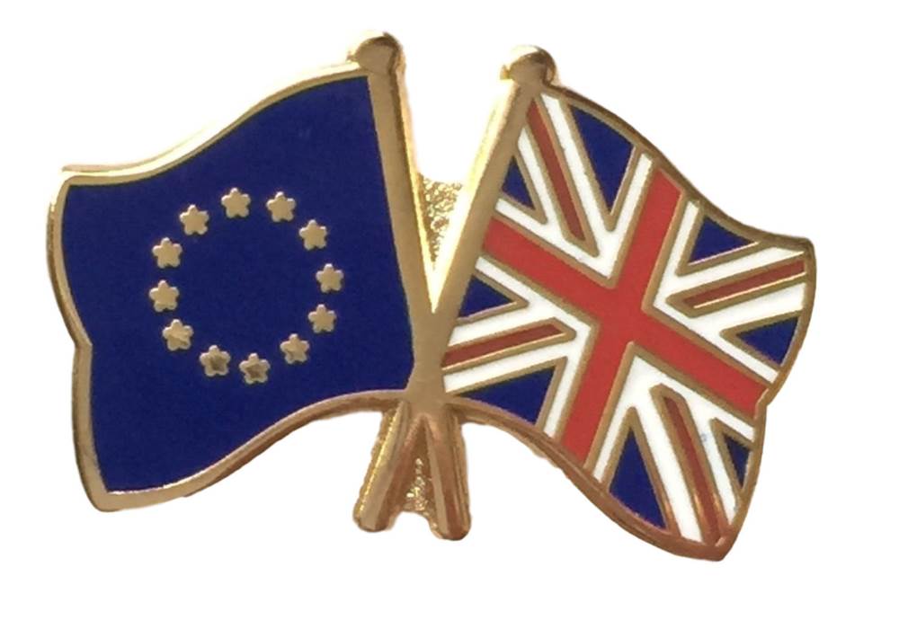 EU European Great Britain Referendum Vote Badge *Special Offer* image 0