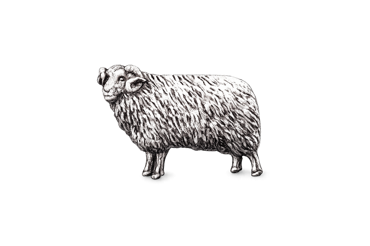 Detailed pewter Ram pin badge featuring curled horns and textured fleece on a white background.