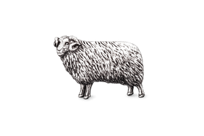 Detailed pewter Ram pin badge featuring curled horns and textured fleece on a white background.