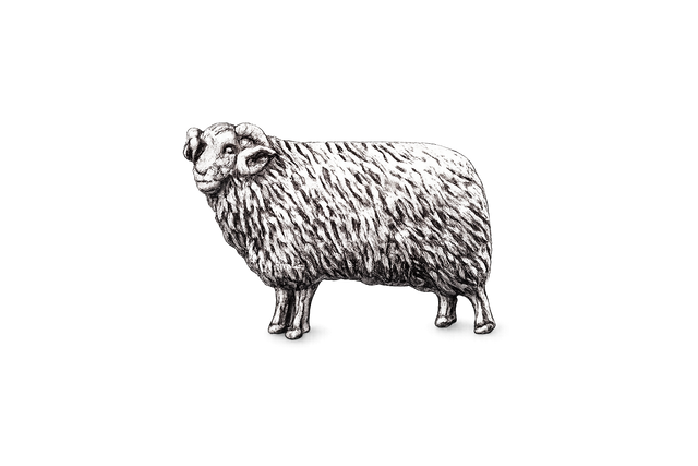 Detailed pewter Ram pin badge featuring curled horns and textured fleece on a white background.