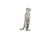 Detailed pewter Meerkat pin badge standing upright with butterfly clutch fastening on a white background.