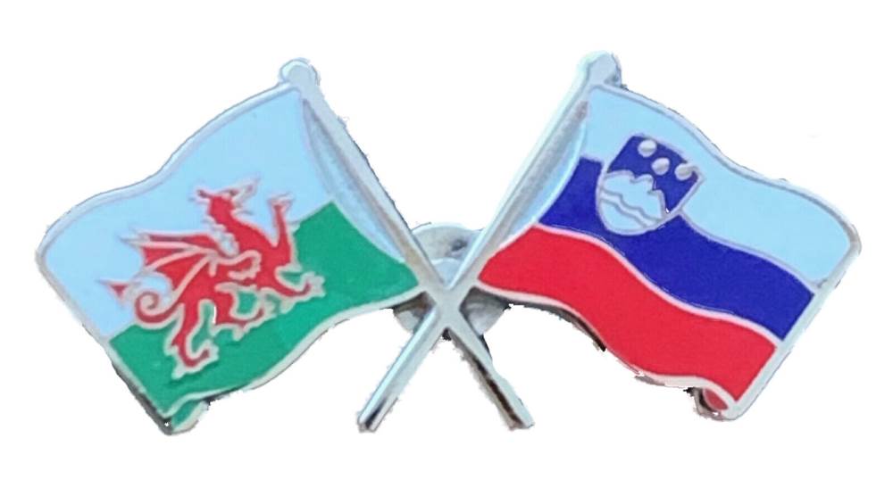 Wales & Slovenia Flags Friendship Courtesy enamel  Lapel Pin Badge T937 image 0