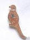 PHEASANT GAME BIRD QUALITY HARD ENAMEL LAPEL PIN BADGE image 0